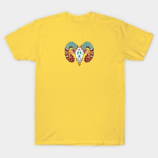 Capricorn Zodiac T-Shirt